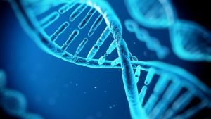 Read more about the article Apa DNA dan Kesehatan Bisa Dipengaruhi Lewat Pikiran dan Perasaan?