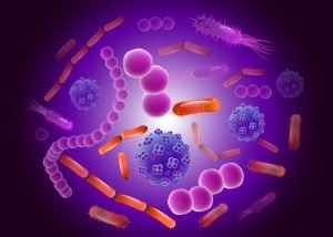 Read more about the article Seri Berpikir Holistik: Bakteri Jahat yang Berasal dari Sel Sehat Kita
