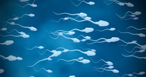 Read more about the article Keguguran Bisa Jadi Disebabkan Karena Sel Sperma Pria yang Rusak